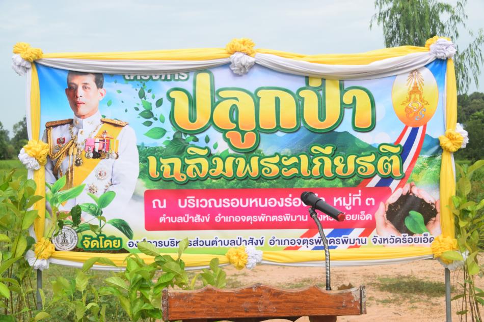โครงการปลูกป่าเฉลิมพระเกียรติ ณ บริเวรรอบหนองร่องคำ หมู่ที่ ๓